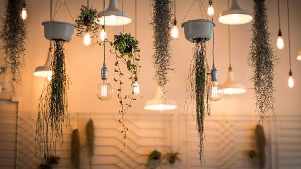 Decorative Lighting